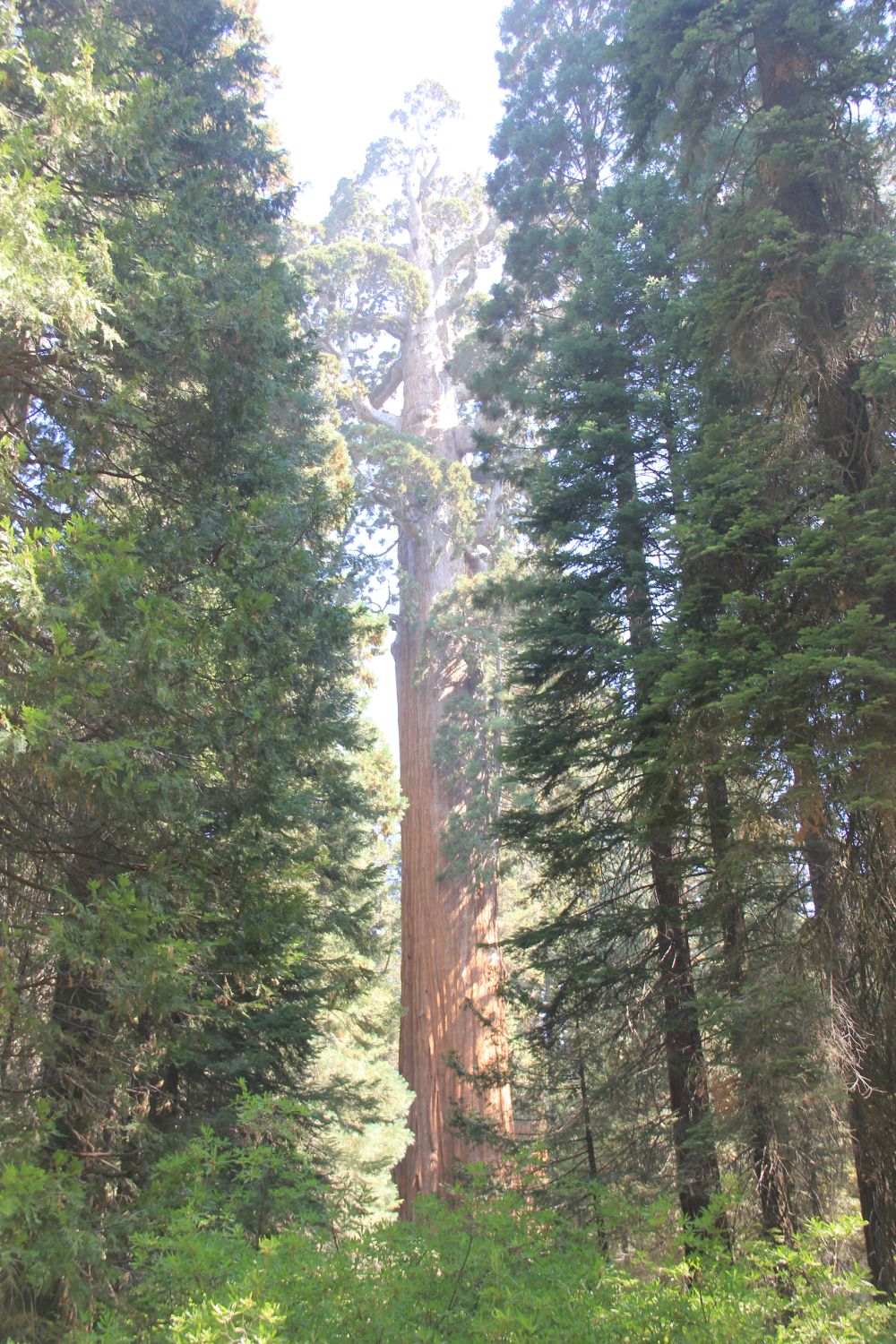 Grant Tree Trail, Boundary Trail and North Grove Trail 